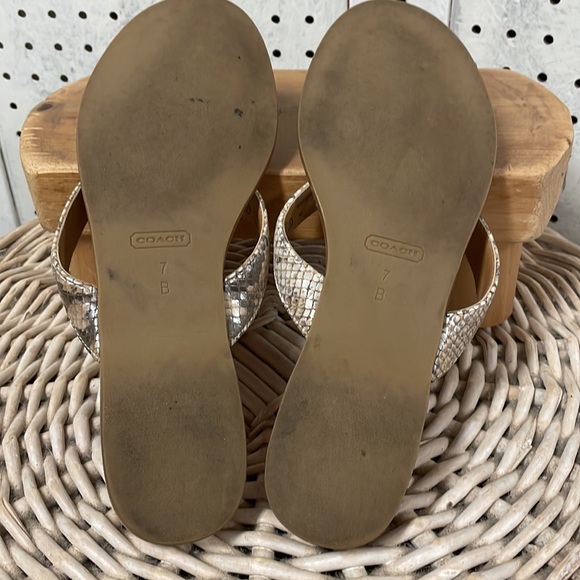 Coach - Picture 7 of 10